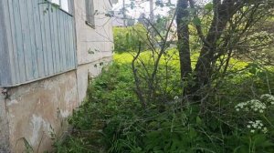 Табиатда КОТТЕДЖ, 100м², Сув, Свет, Гараж, Беларусь 25км, город Невель 20км,