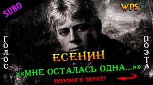 Сергей Есенин: Мне осталась одна забава | WPS | Метал |  #Есенин #гармоника