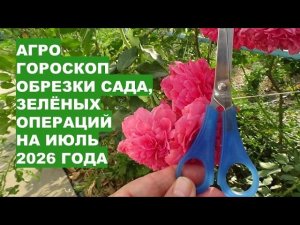 Июль 2026: Самые Лучшие Дни Обрезки Садовых Растений и «Зелёных Операций»?!