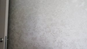 1000003210.mp4