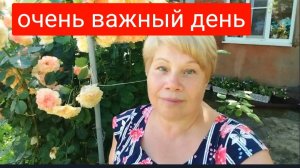 283🏡Очень важный день/Даже не думала, что это всем надо/Очень много детей