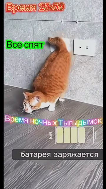 Тыгыдым...