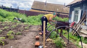 Новая жизнь в райском уголке