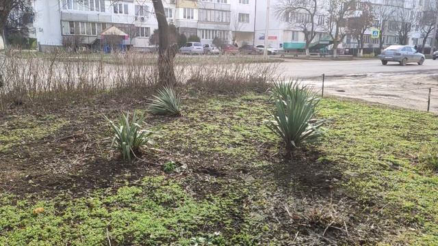 Один из дней города Евпатории | 1 февраля 2022 год | Крым ХАН БАТОН XAH 6ATOH | VID_20220201_144538