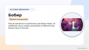 Фамилия Бобир: происхождение, значение и склонение
