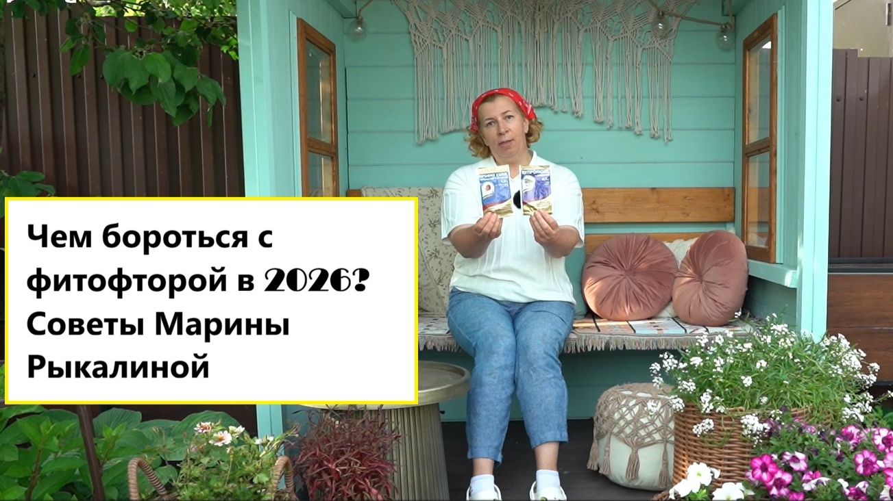 Фитофтороз: лечить или предупредить? Правильный ответ в новом видео от Марины Рыкалиной смотреть онлайн