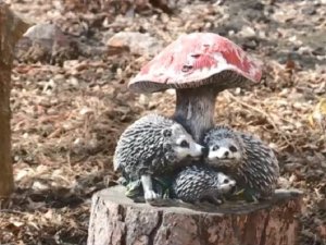 Красноярец создает во дворе целые арт-инсталляции из подручных материалов