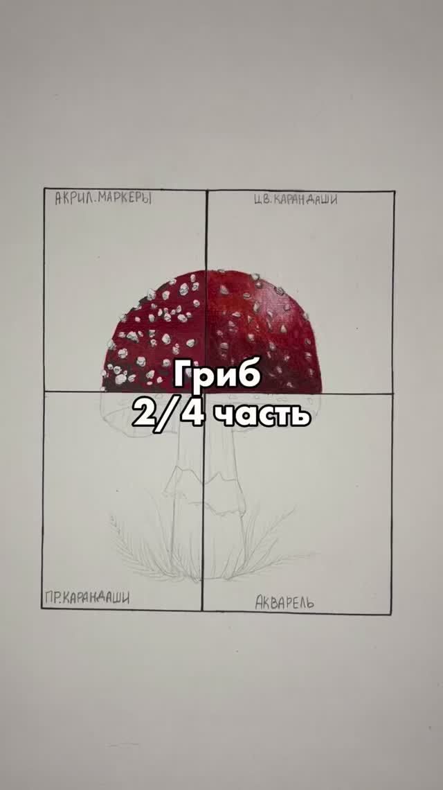 Гриб 2/4 смотреть онлайн