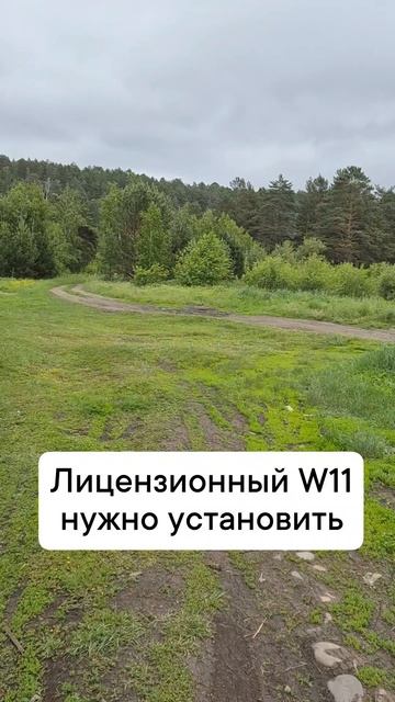 нужно установить винду