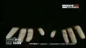 bridge in time