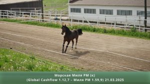 Морская Миля РМ (к) (Global Cashflow 1.12,7 – Миля РМ 1.59,9) 21.03.2025