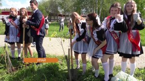 В Урае на Аллее выпускников посадили яблони