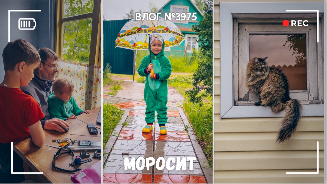 Уютно дома, когда дождь моросит- ВЛОГ №3975 - 17.06.26 смотреть онлайн