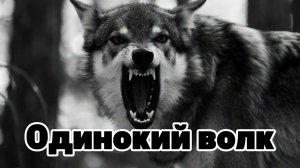 Garik. Одинокий Волк