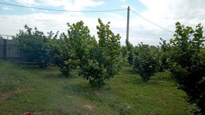 Чуть чуть отдохнули у родственников на берегу каспии