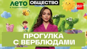Верблюды, небо в сетке и шедевры искусства: идеальное лето Подмосковье в Сергиево-Посадском округе