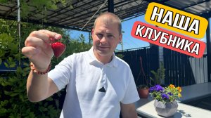 Влог ! Что с клубникой в этом году ! Уборка на террасе ! Нужен ваш совет