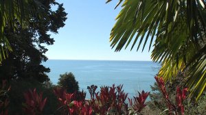 В Сочи проверяют пляжи: море и берег чистые, вода прогрелась до +23