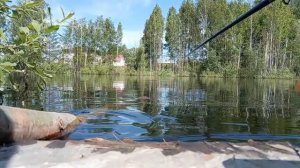 Я на рыбалку. Думал тут хотябы караси есть а тут, ну сами увидите!