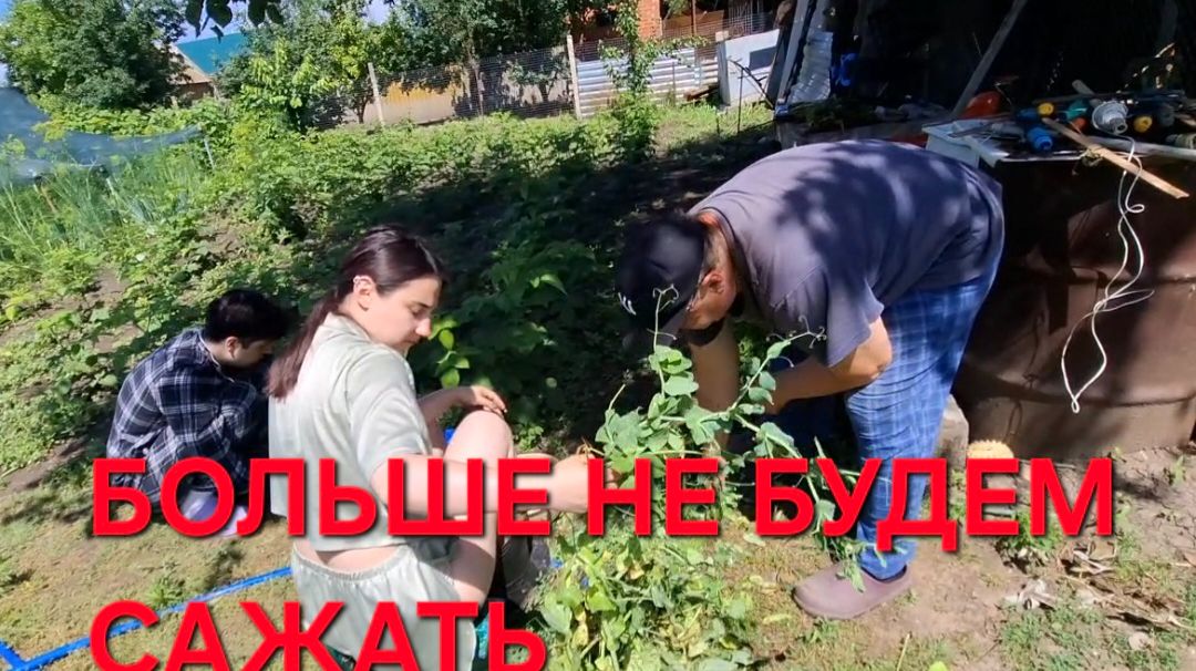 1305 Провожаем детей в Краснодар. Ничего не успеваем. Больше столько не будем сажать. смотреть онлайн
