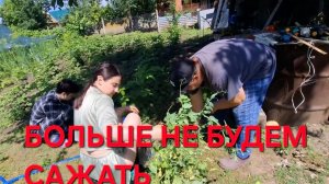 1305 Провожаем детей в Краснодар. Ничего не успеваем. Больше столько не будем сажать.