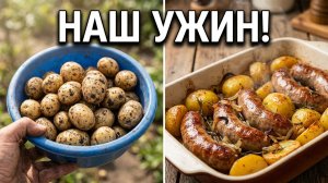 С грядки в духовку: Молодой картофель с купатами