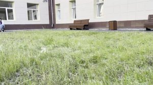 В Златоусте привели в порядок территорию кардиодиспансера