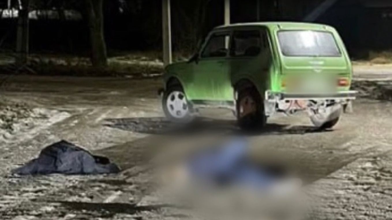 На Ставрополье мужчину осудили за убийство родственника смотреть онлайн