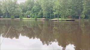 Обзор с Нижнего пруда. Клёвое место Лосиный остров.