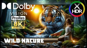Потрясающая демоверсия 8K HDR в формате Dolby Vision™ с частотой 60 кадров в секунду #Красочная жизн
