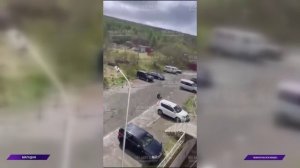Медведи всё чаще появляются в черте Магадана