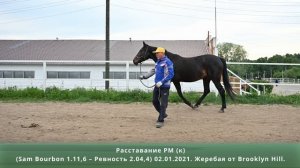 Расставание РМ (к) (Sam Bourbon 1.11,6 – Ревность 2.04,4) 02.01.2021. Жеребая от Brooklyn Hill.