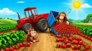 Д1 14 Серия Мультфильм Сказка для детей Обезьянки на поле Развивающая познавательная для малышей