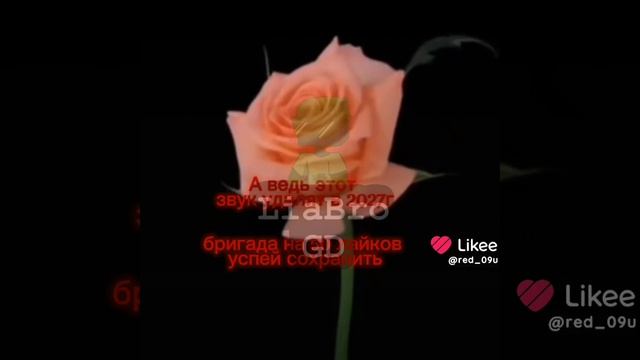 чё за чушь слушают смотреть онлайн