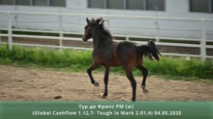Тур де Франс РМ (ж) (Global Cashflow 1.12,7 – Tough la Mark 2.01,4) 04.05.2025