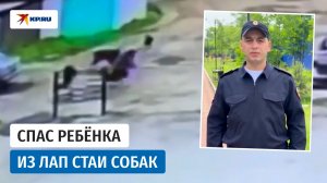 Полицейский спас ребёнка от стаи агрессивных собак в Иркутске