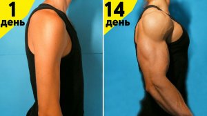 6 Лучших Упражнений Для Всего Тела | Домашние Упражнения с ГАНТЕЛЯМИ