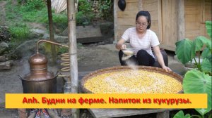 Anh Bushcraft. Будни на ферме .Напиток из кукурузы.
