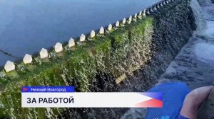 Речные раки начали тестировать воду на Нижегородской станции аэрации