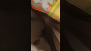 VID_20260618_194758.mp4