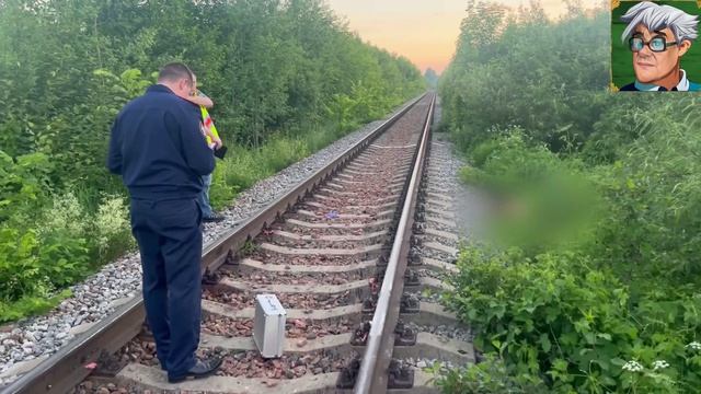 В Удмуртии поезд сбил человека, перегон Позимь-Вожой. На месте работает СледКом. смотреть онлайн
