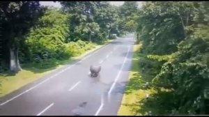Когда стало ясно, что ты не самый главный парень в округе.