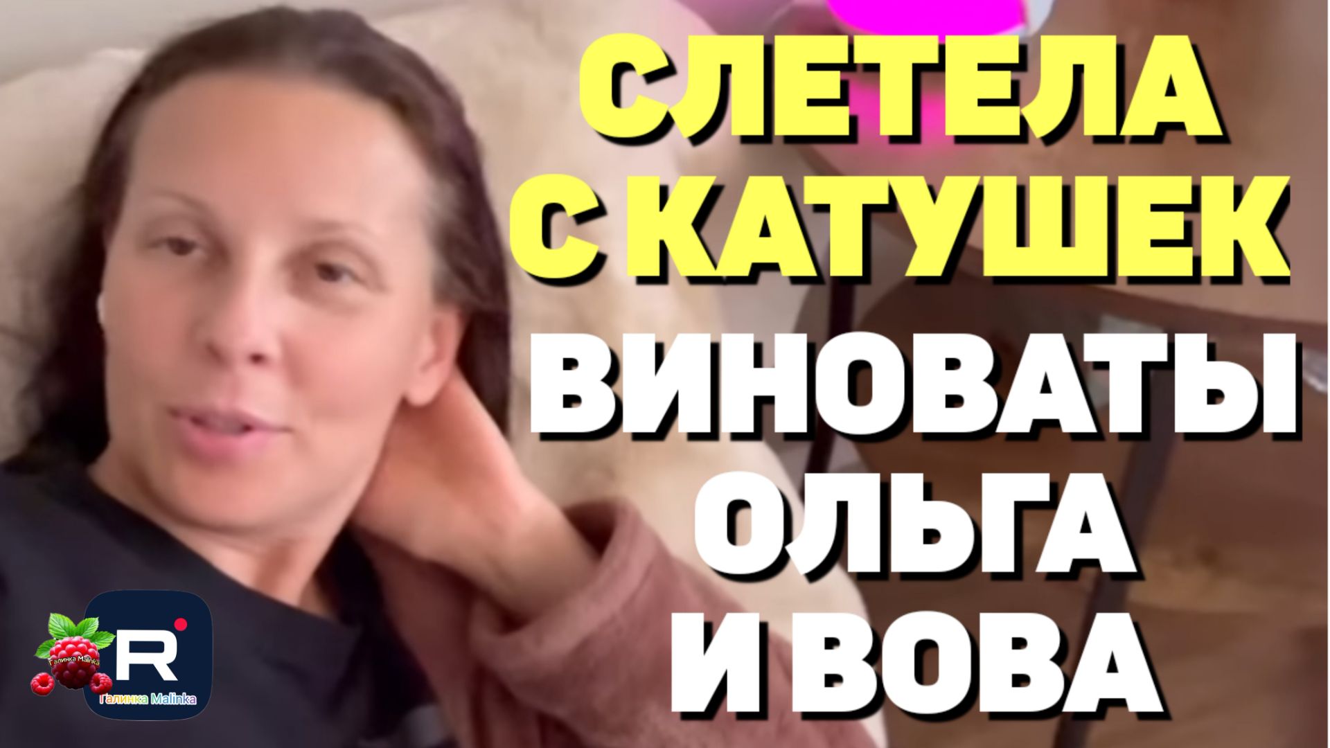Big Big Family in the USA /Слетела с катушек /Виноваты Вова и Ольга смотреть онлайн