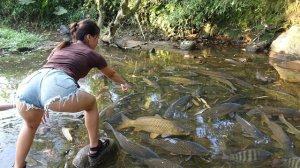 Ловлю рыбу с помощью водяного насоса из небольшого пруда. Жизнь во Вьетнаме