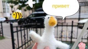 у нас новенький?!