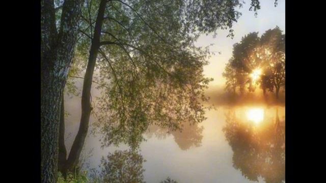 Свет сквозь листву. смотреть онлайн