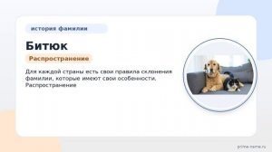 Фамилия Битюк: происхождение, значение и склонение
