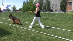РАБОЧИЙ КЛАСС КОБЕЛЬ ДШ
