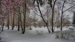 Старый знакомый и что - то фантастическое))) + 24 и холодный веерок))
