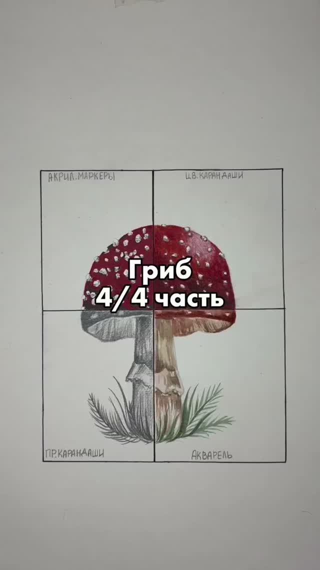 Гриб 4/4 смотреть онлайн